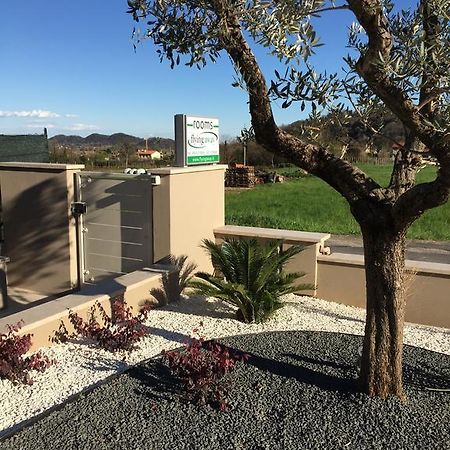 Bed and Breakfast Flyingaway Borso del Grappa Exterior foto