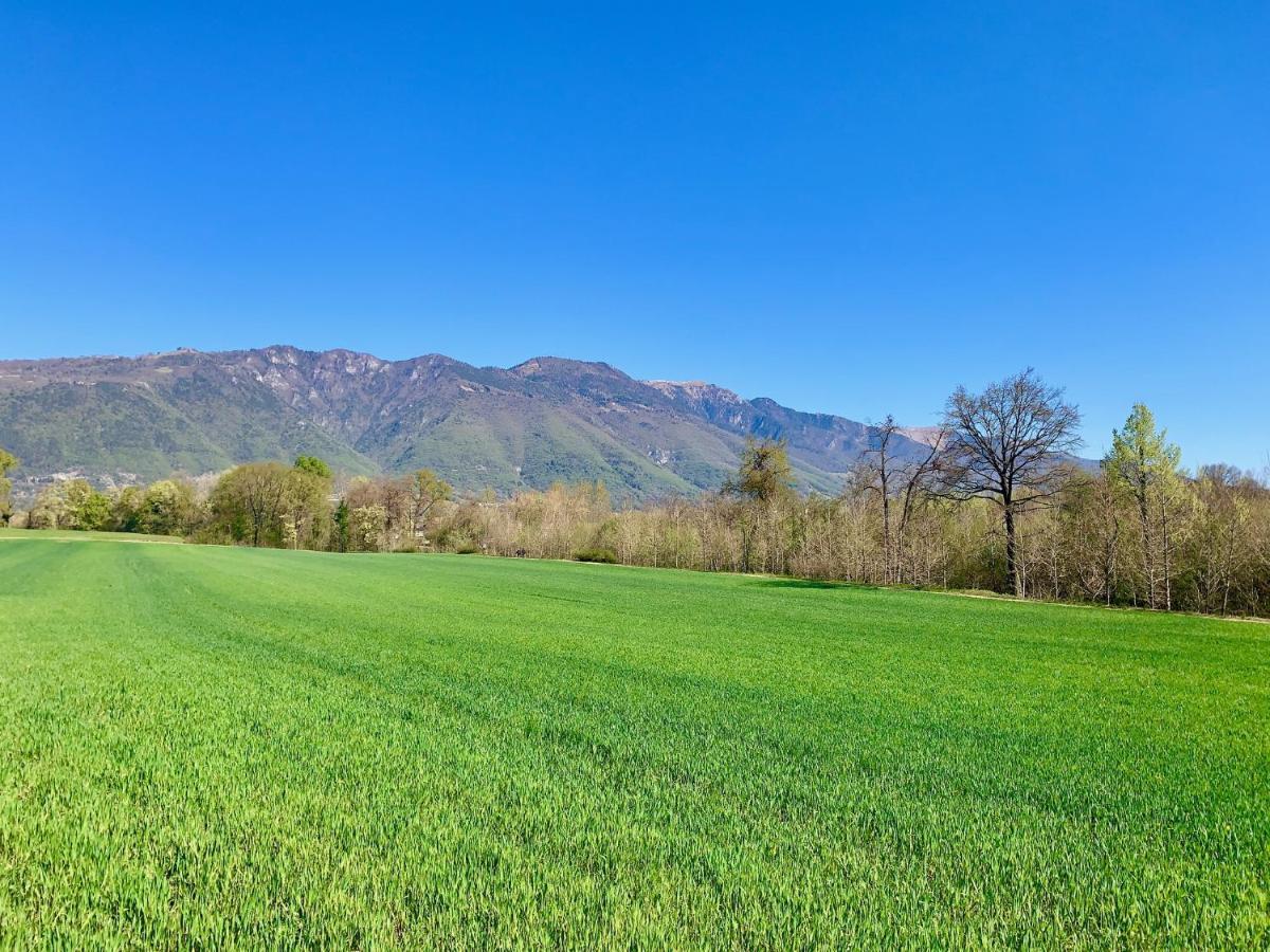 Bed and Breakfast Flyingaway Borso del Grappa Exterior foto